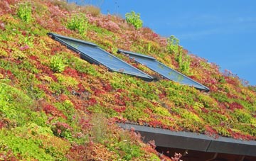 Cadnam living roof systems